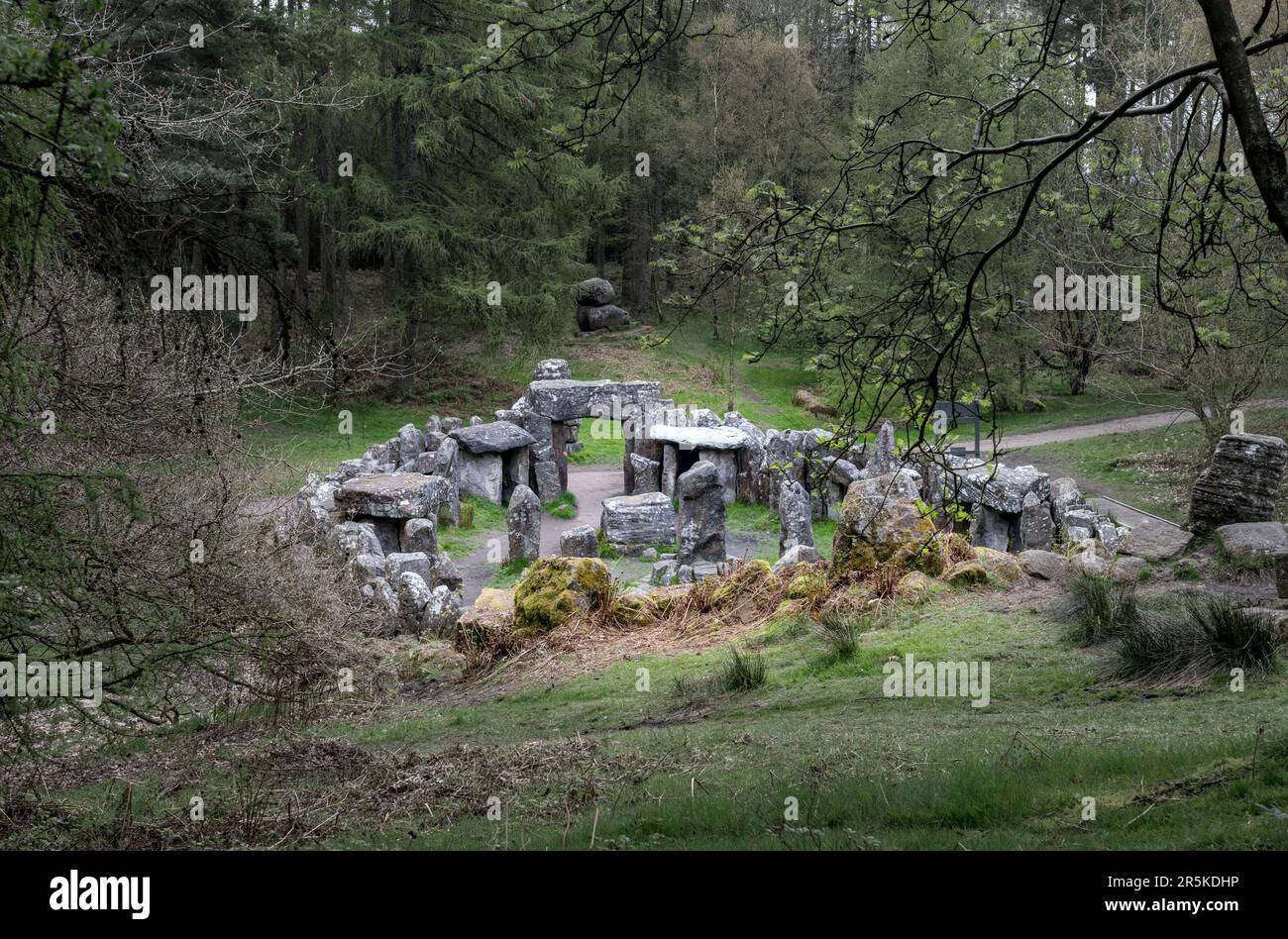 La follia vittoriana della piantagione di Druids con pietre erette create nella foresta di Nidderdale Yorkshire Foto Stock