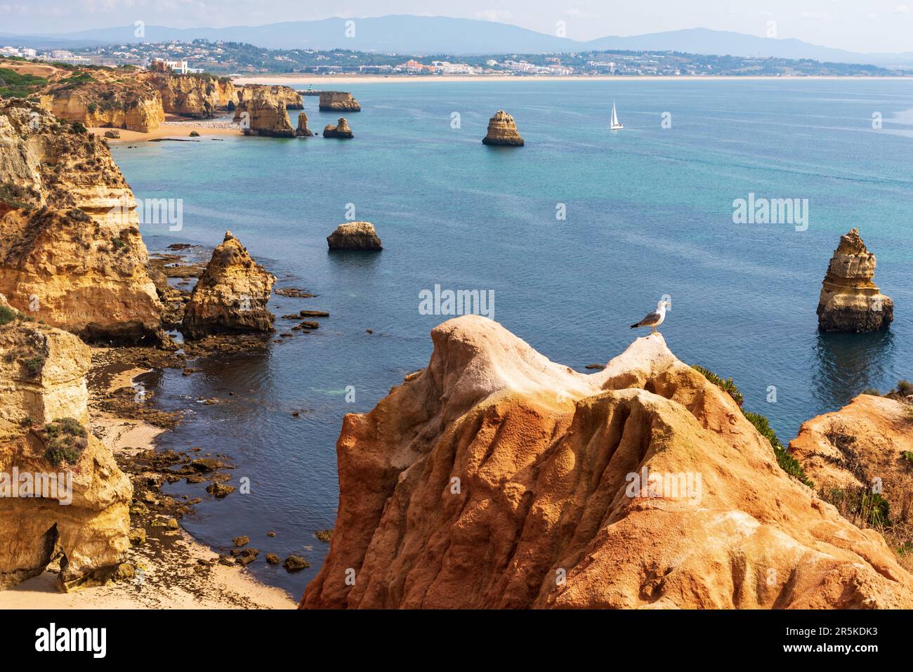 Vista sulle scogliere e le spiagge tra la città di Lagos e Praia do Camilo, Algarve. Foto Stock