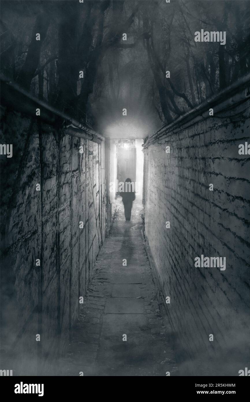 Immagine concettuale di una persona che cammina attraverso un passaggio dalle pareti spulicose circondato da boschi scoscuri, silhouette da luce misteriosa - immagine composita Foto Stock
