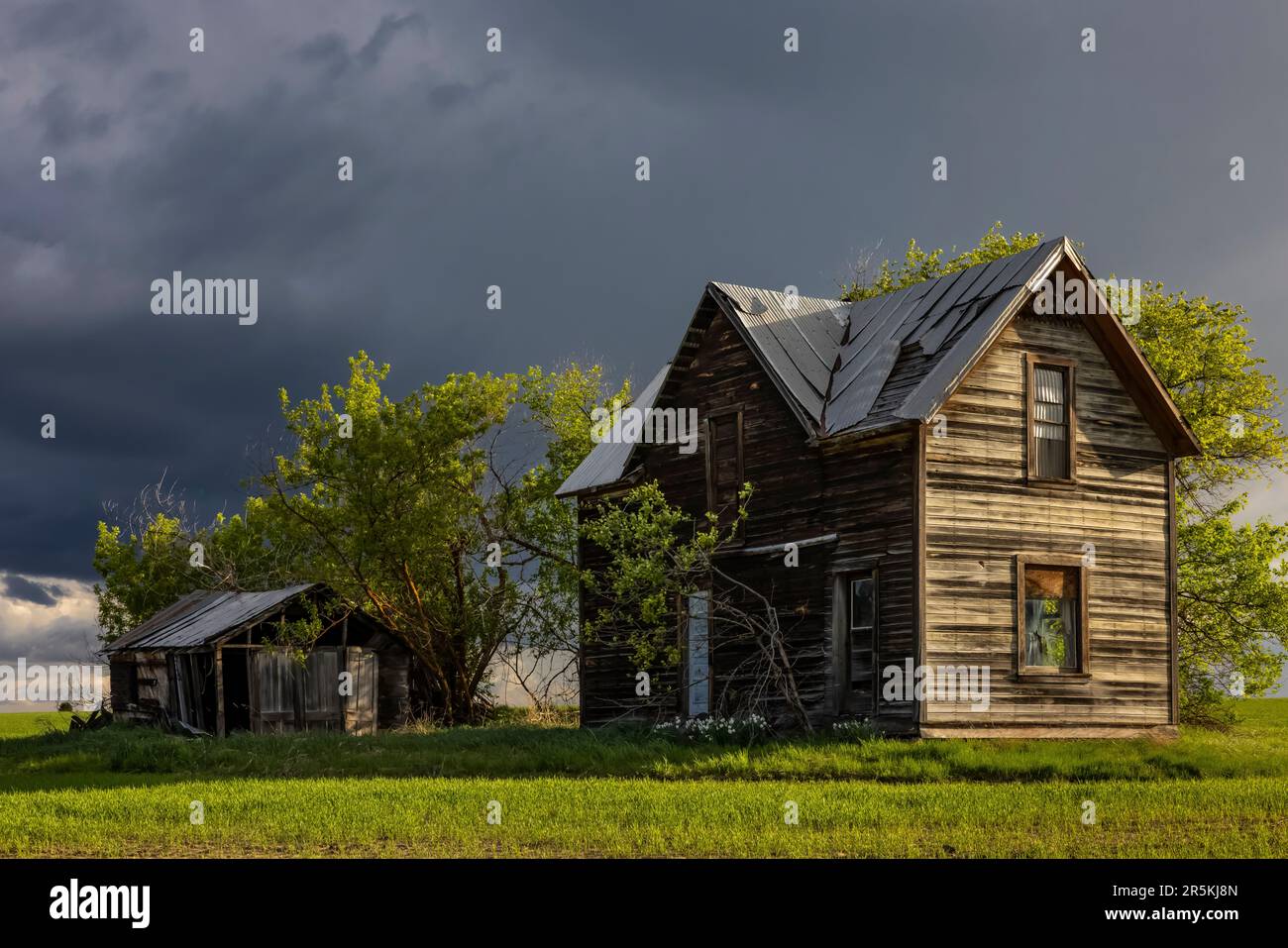 Casa colonica abbandonata a Flora, Oregon, USA [non è disponibile alcun rilascio di proprietà; solo licenza editoriale] Foto Stock