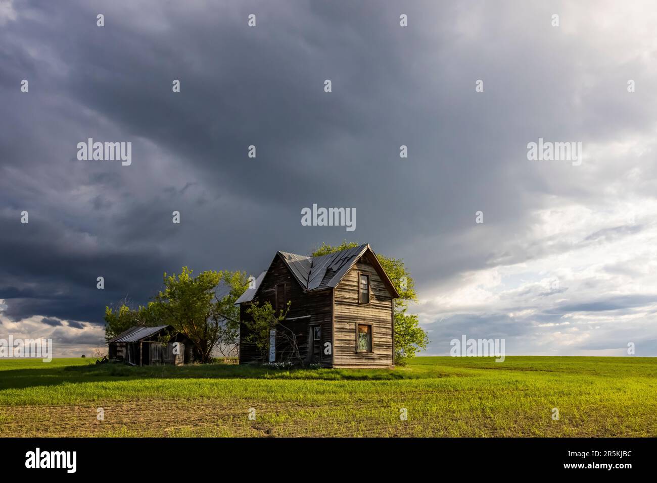 Casa colonica abbandonata a Flora, Oregon, USA [non è disponibile alcun rilascio di proprietà; solo licenza editoriale] Foto Stock