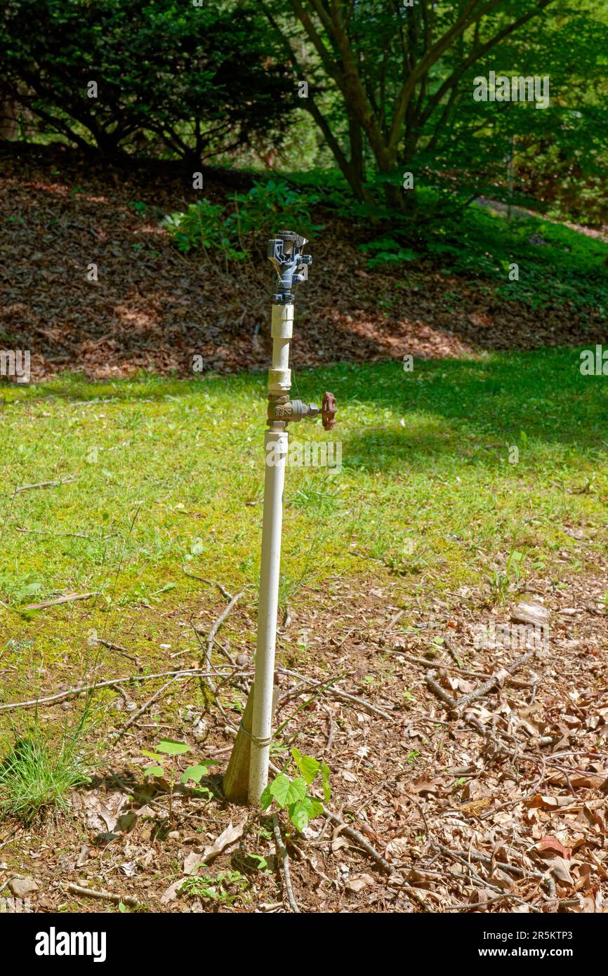 Un impianto di irrigazione ad alto livello per prato e giardini con valvola di intercettazione e testa sprinkler sulla parte superiore della vista verticale del tubo Foto Stock