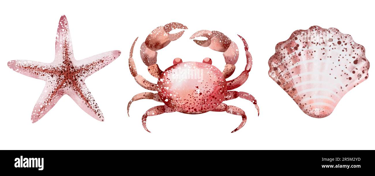 Acquerello illustrazioni di animali marini sottomarini polpo, cavalluccio marino, granchio, stelle marine, meduse. Abitanti marini del mondo sottomarino. Foto Stock
