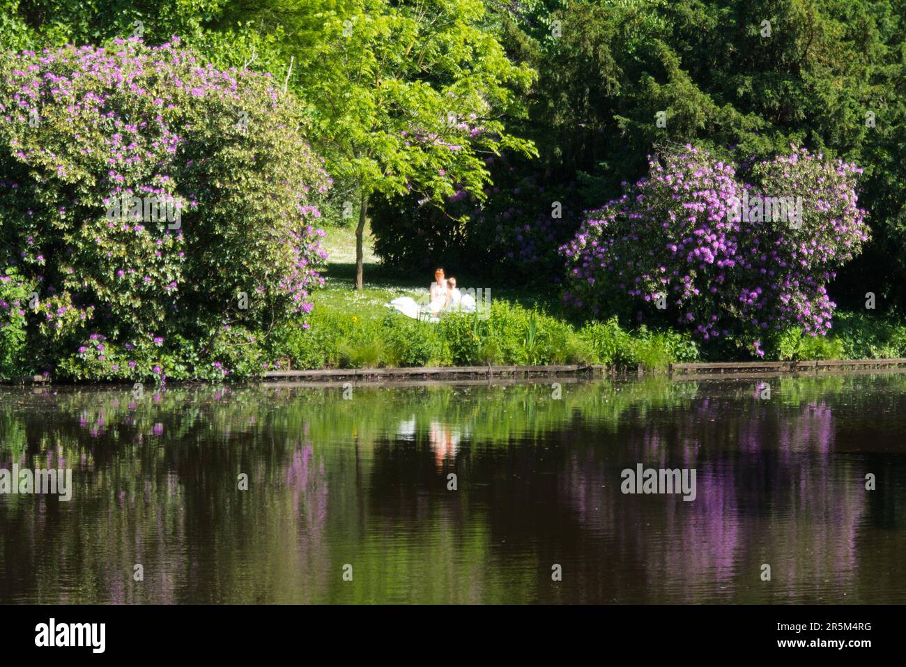 Impressioni da Oldenburg all'inizio dell'estate Foto Stock