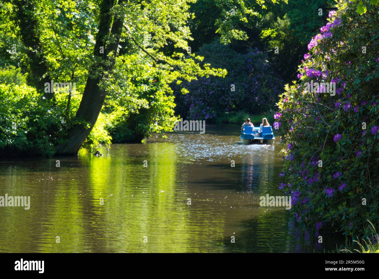 Impressioni da Oldenburg all'inizio dell'estate Foto Stock