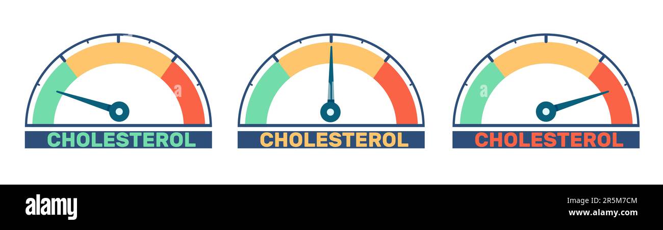 Misuratori di colesterolo da basso ad alto. Strumento di misurazione. Indicatore del livello del grasso. Indicatore di sangue. Misurazione di test medici. Tachimetro a colori cardiovascolare Illustrazione Vettoriale
