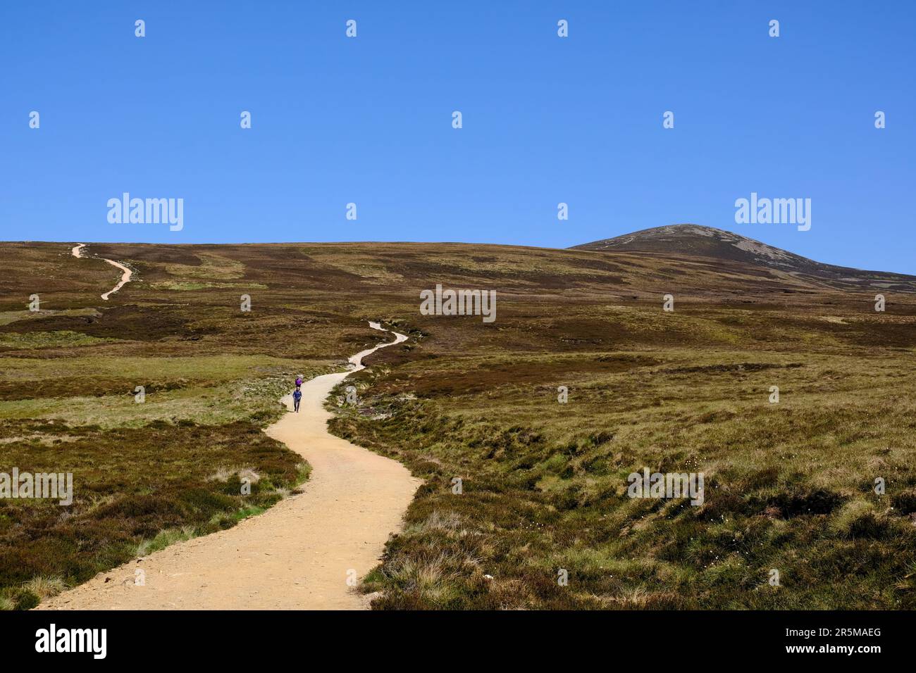 Escursionisti sul sentiero tortuoso fino a munro Mount Keen, Angus Glens, Scozia Foto Stock