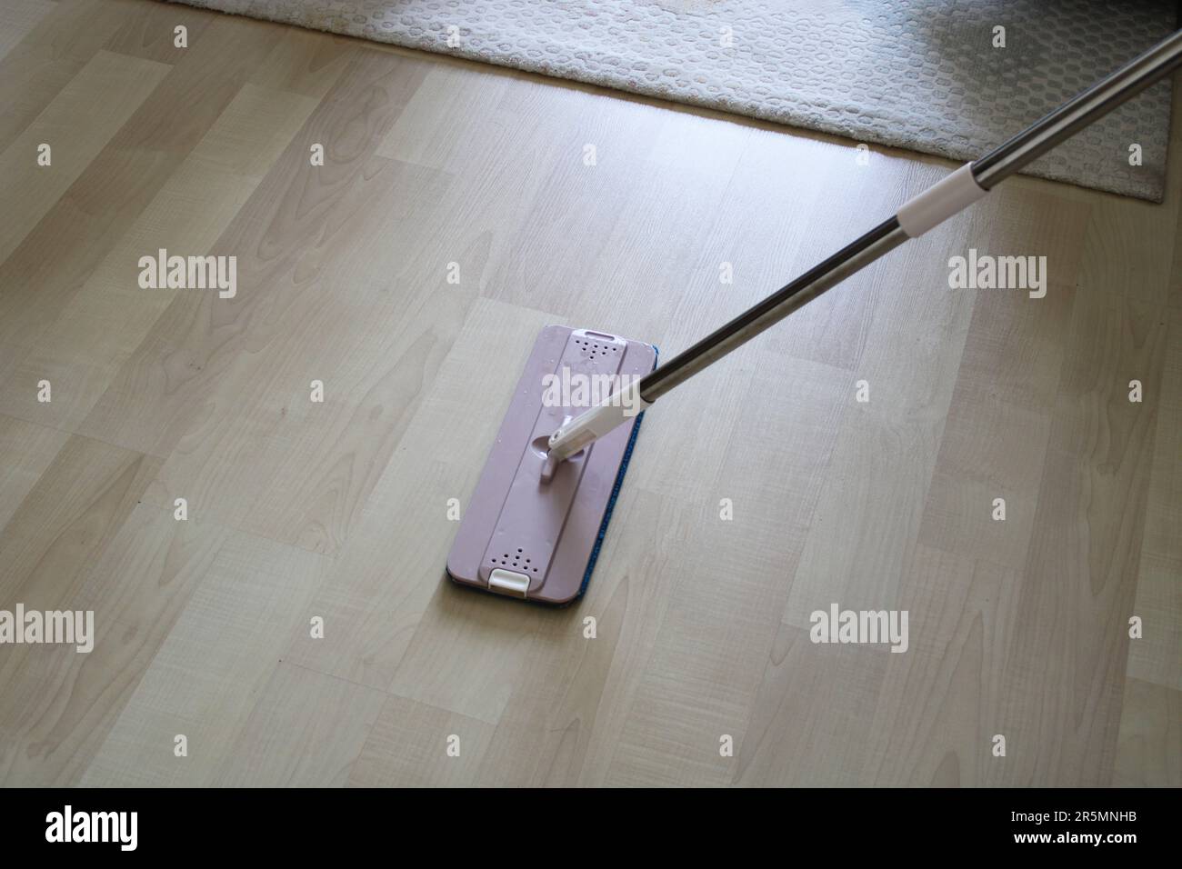 pulizia dello spazzolone a casa. Foto Stock