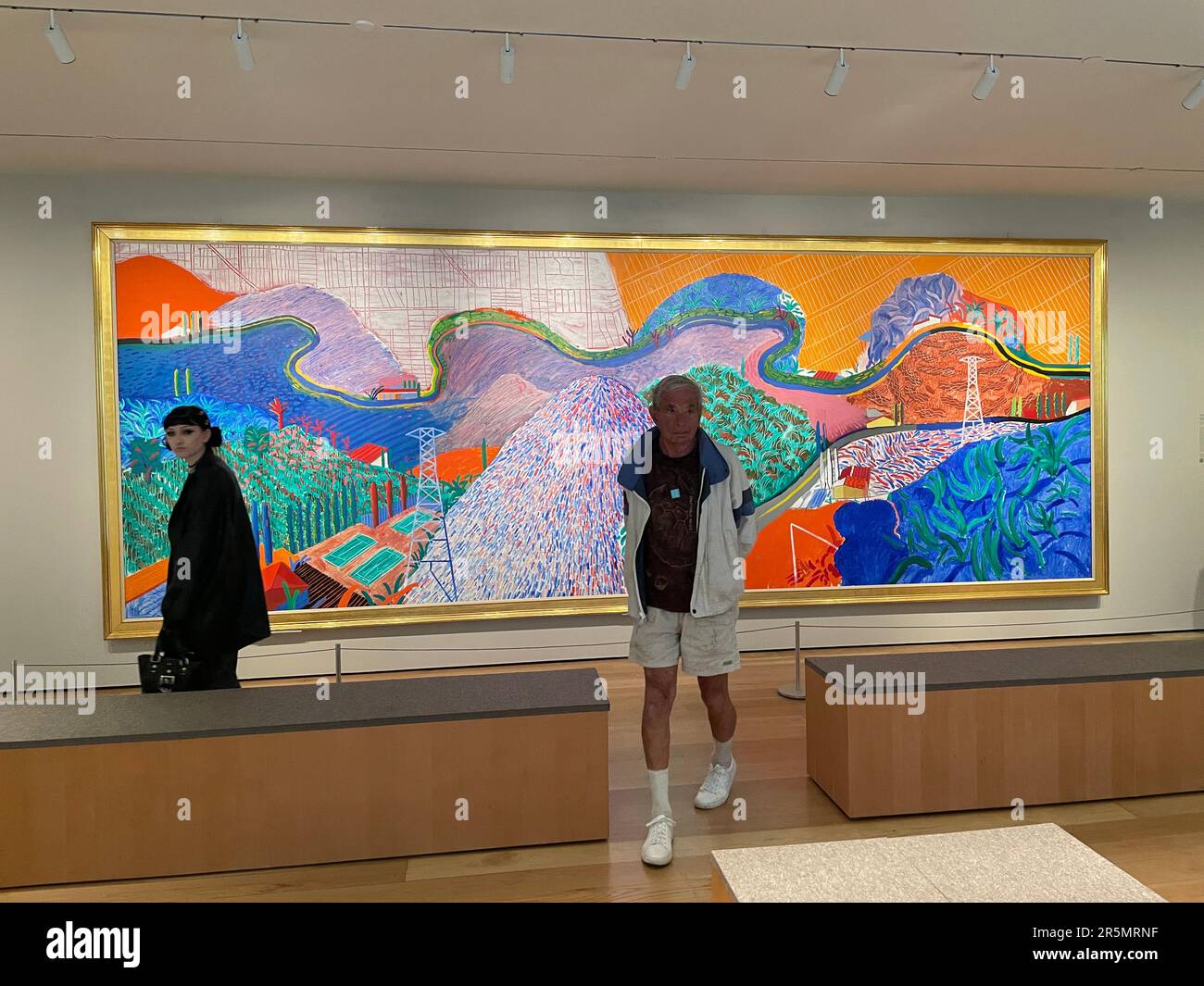 Dipinto di David Hockney in mostra al Los Angeles County Museum of Art di Los Angeles, California. Foto Stock