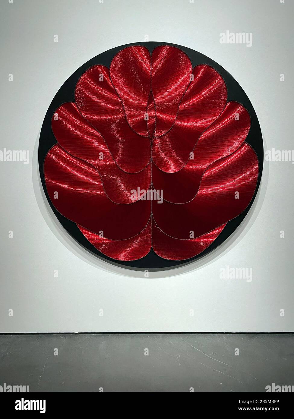Opera intitolata Red Seed dell'artista turco Galay Semercioglu in mostra al LACMA di Los Angeles, CA Foto Stock