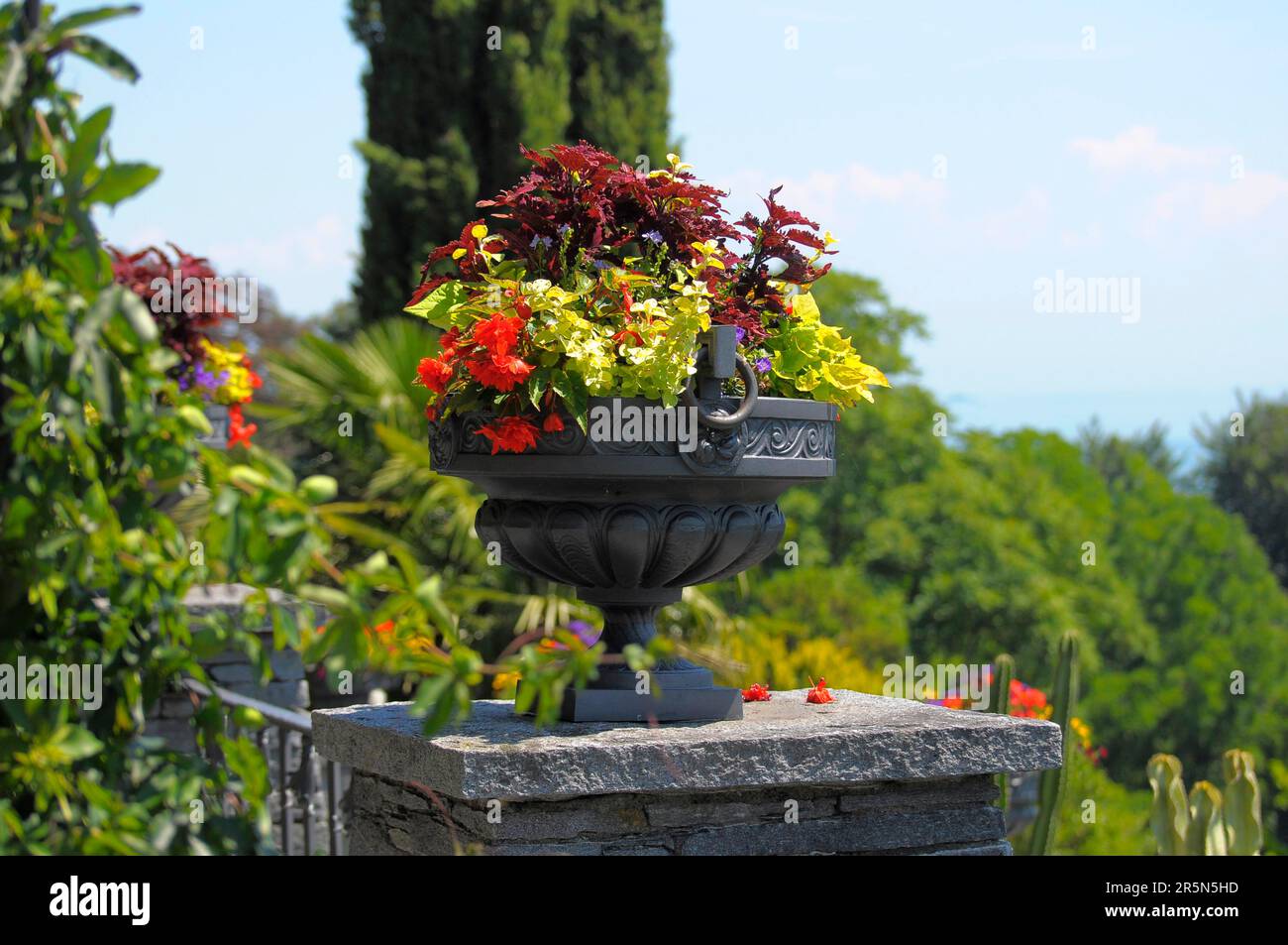 Lago di Costanza Isola Mainau, vari fiori in un vaso, ciotola di fiori, caraffa di fiori Foto Stock