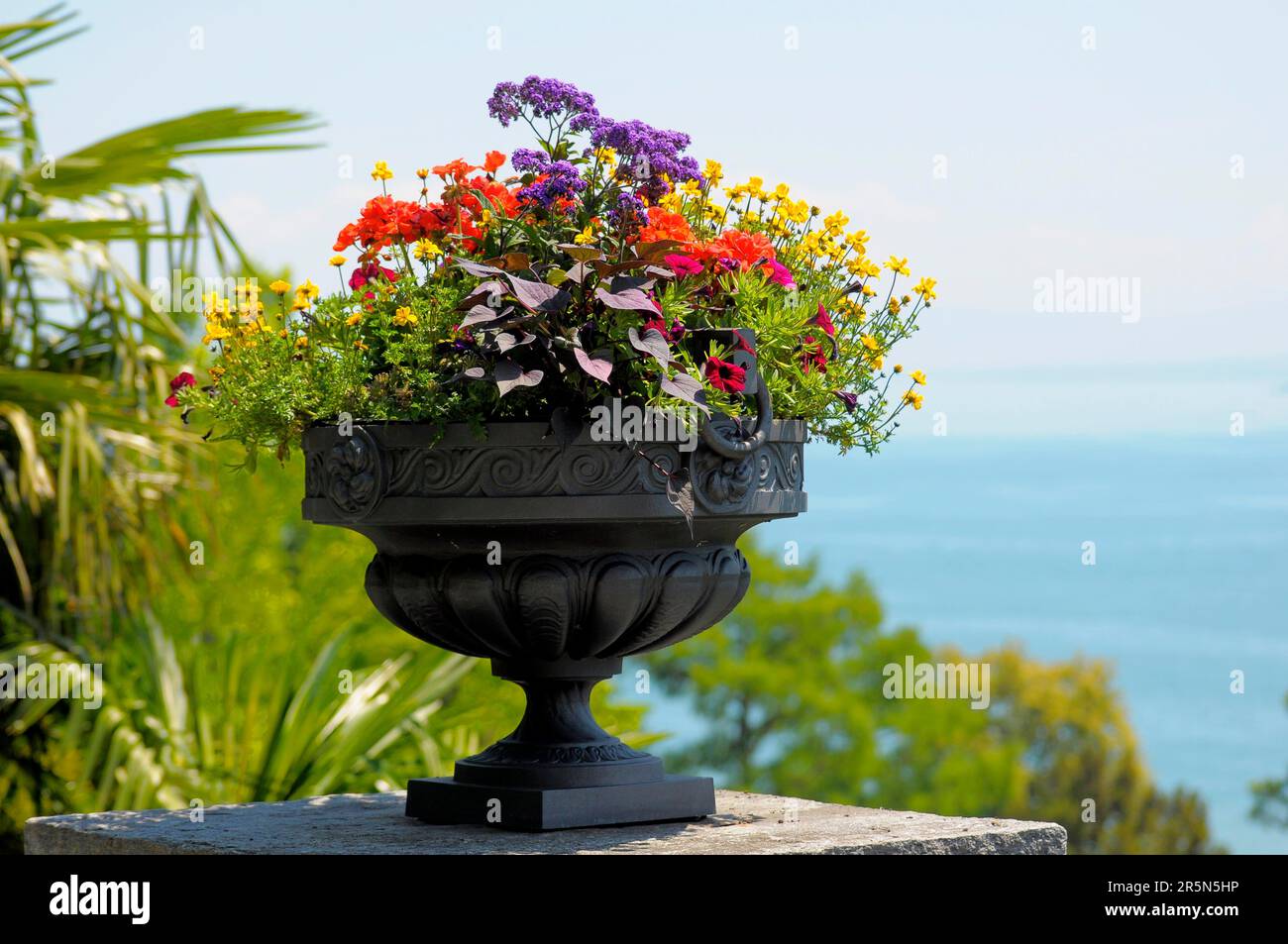 Lago di Costanza Isola Mainau, vari fiori in un vaso, ciotola di fiori, caraffa di fiori Foto Stock