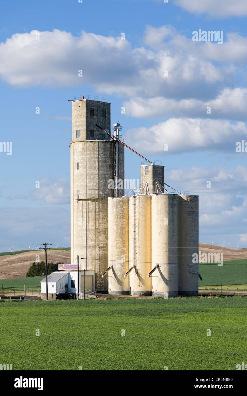 Steptoe, WA, USA - 22 maggio 2023; silo cooperativo degli agricoltori del nord-ovest del Pacifico nella contea di Whitman, Washington Foto Stock