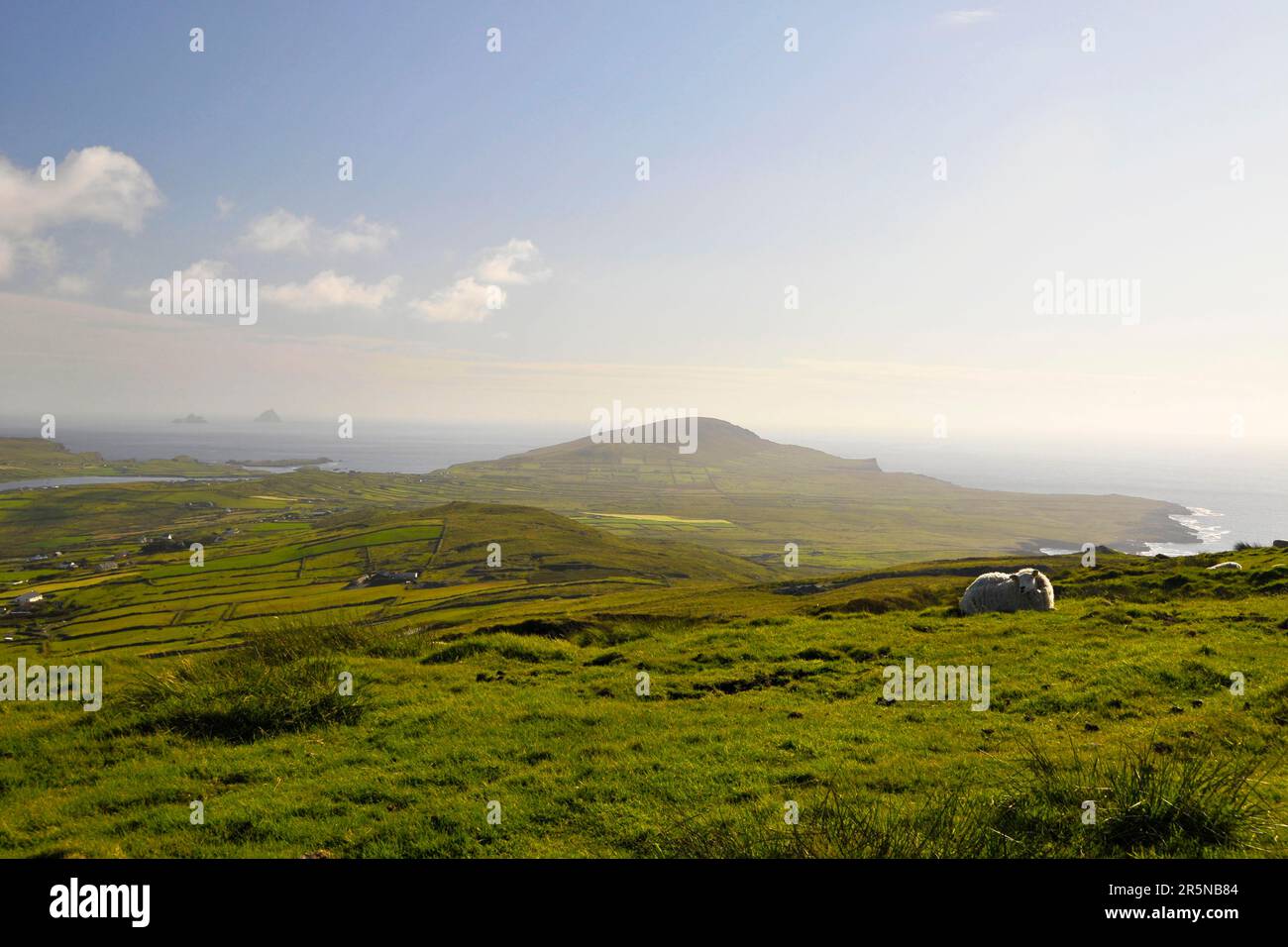 Vista dal monte Geokaun, dalla contea di Kerry, dall'Irlanda e dall'isola di Valentia Foto Stock