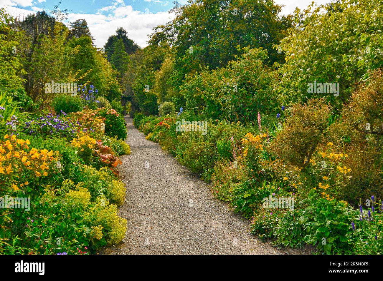 Ilnacullin, Baia di Bantry Foto Stock