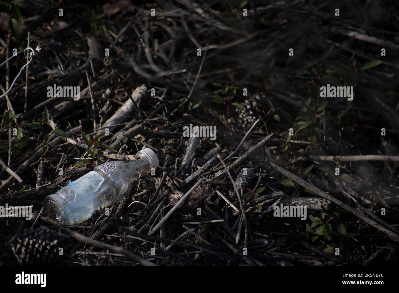 rifiuti, rifiuti, rifiuti lasciati in natura e danneggiare l'ecosistema, non riciclare adeguatamente, mancanza di attenzione nella tutela dell'ambiente Foto Stock