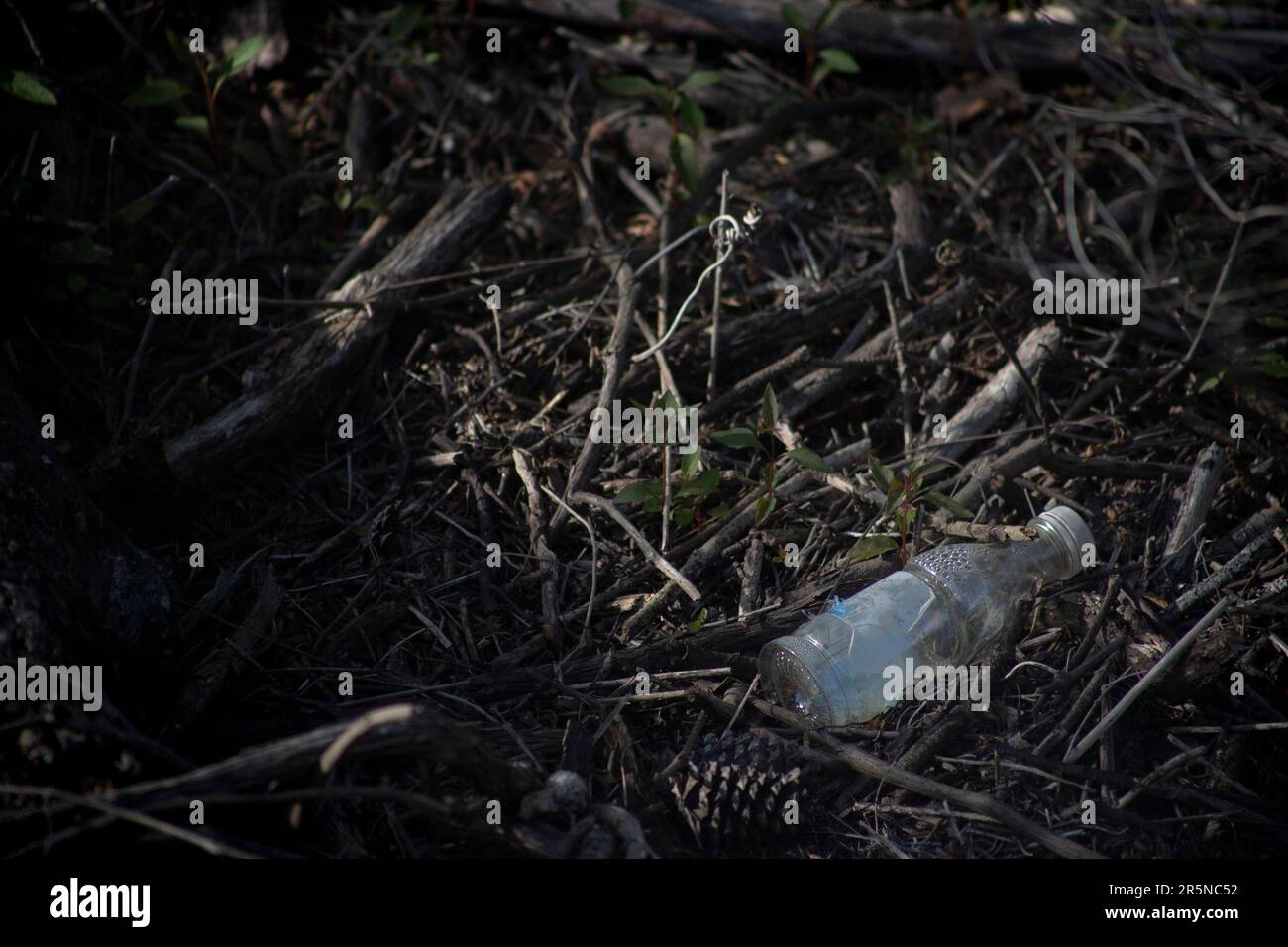 rifiuti, rifiuti, rifiuti lasciati in natura e danneggiare l'ecosistema, non riciclare adeguatamente, mancanza di attenzione nella tutela dell'ambiente Foto Stock