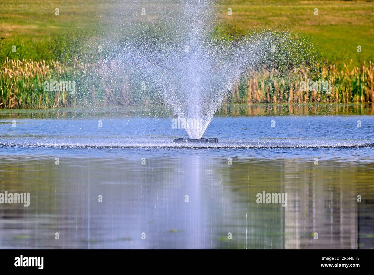 Spruzzi d'acqua in un laghetto piovuto vicino Edmonton Alberta Canada Foto Stock