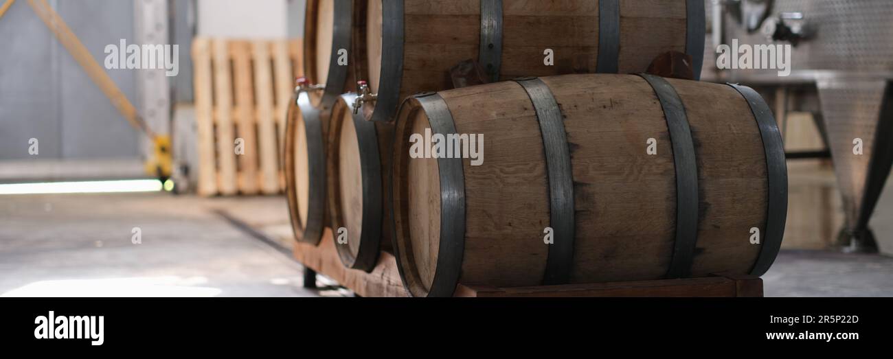 Azienda vinicola e cognac con vasche di fermentazione in acciaio e botti di legno per il processo di invecchiamento. Industria alimentare e concetto di vinificazione Foto Stock