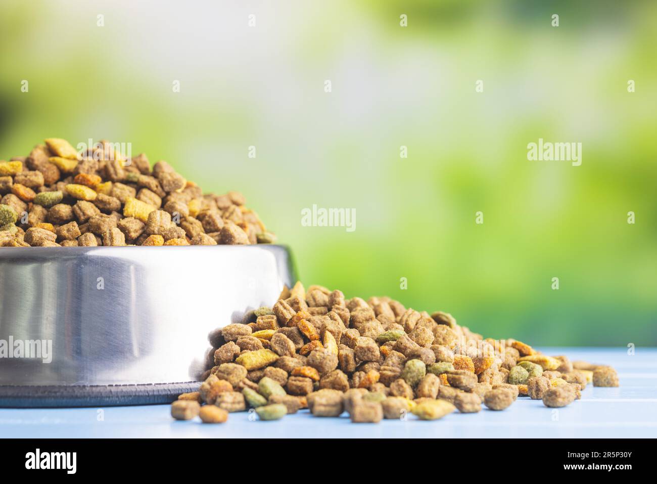 Asciugare gli alimenti per animali domestici nel recipiente. Cibo per cani o gatti sul tavolo da giardino. Foto Stock