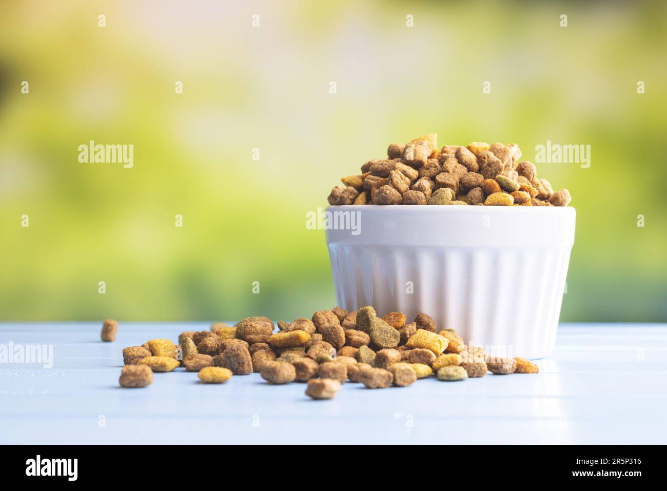 Asciugare gli alimenti per animali domestici nel recipiente. Cibo per cani o gatti sul tavolo da giardino. Foto Stock