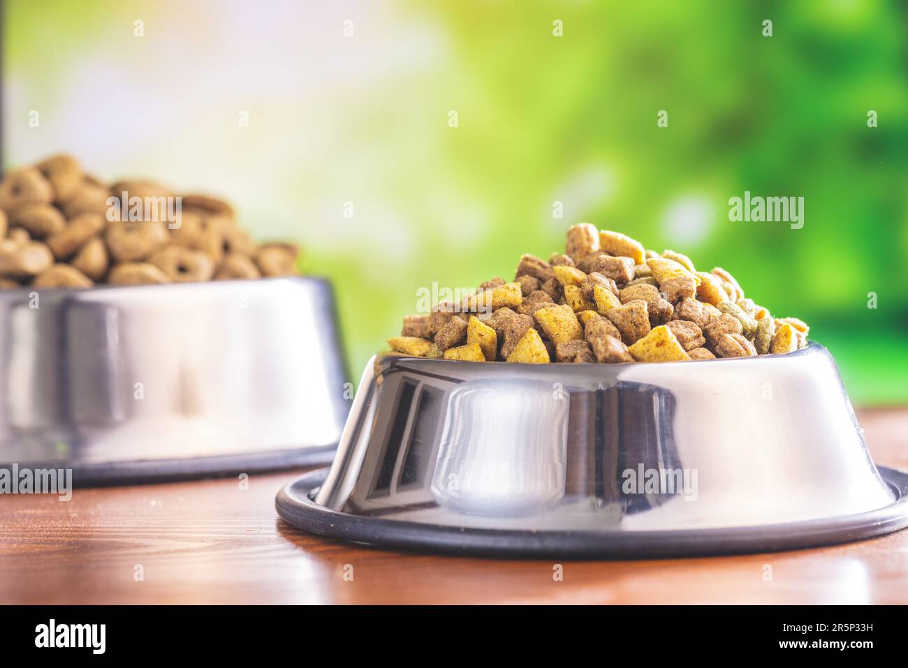 Pappe per animali domestici a secco. Cibo per cani o gatti in una ciotola sul tavolo di legno. Foto Stock