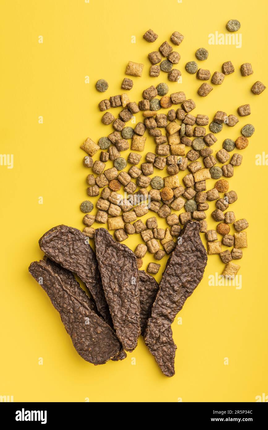 Cibo secco per animali domestici e carne secca. Cibo per cani o gatti su sfondo giallo. Vista dall'alto. Foto Stock