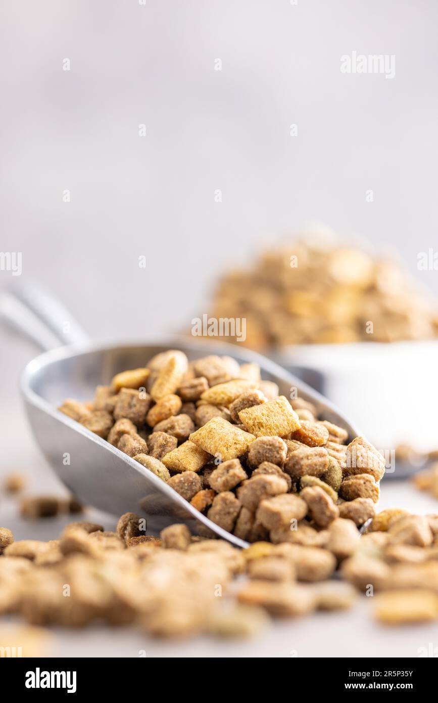 Pappe per animali domestici a secco. Cibo per cani o gatti in paletta sul tavolo grigio. Foto Stock