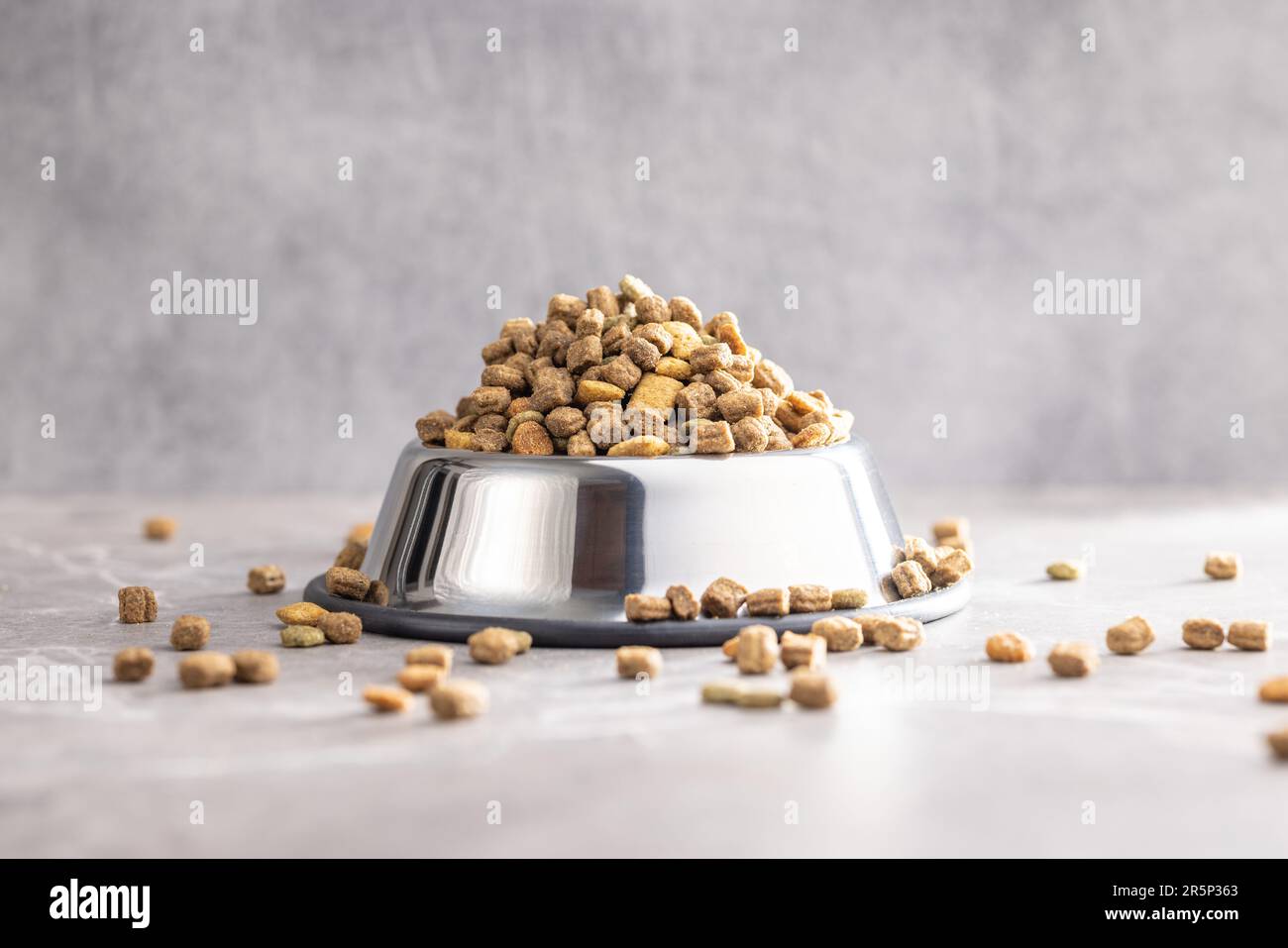 Pappe per animali domestici a secco. Cibo per cani o gatti nella ciotola sul tavolo grigio. Foto Stock