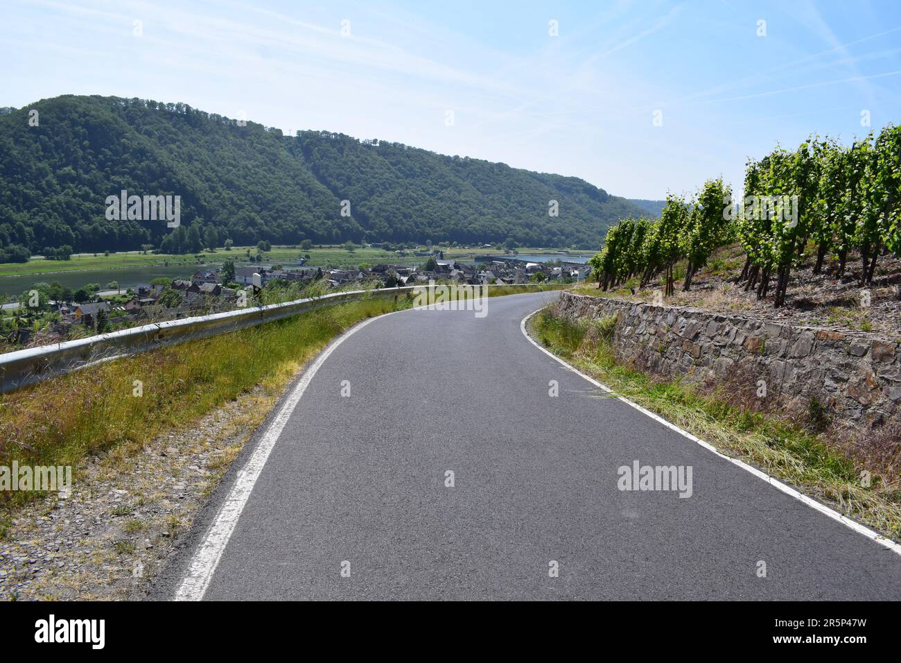 Strada tortuosa attraverso i ripidi vigneti Foto Stock