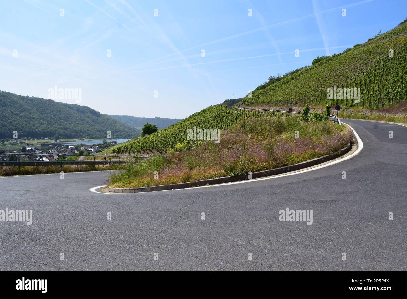Strada tortuosa attraverso i ripidi vigneti Foto Stock