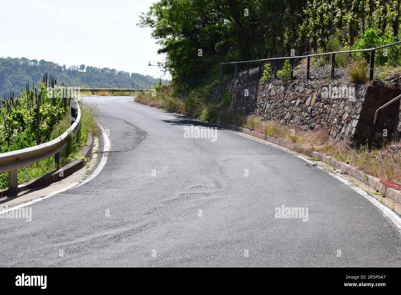 Strada tortuosa attraverso i ripidi vigneti Foto Stock