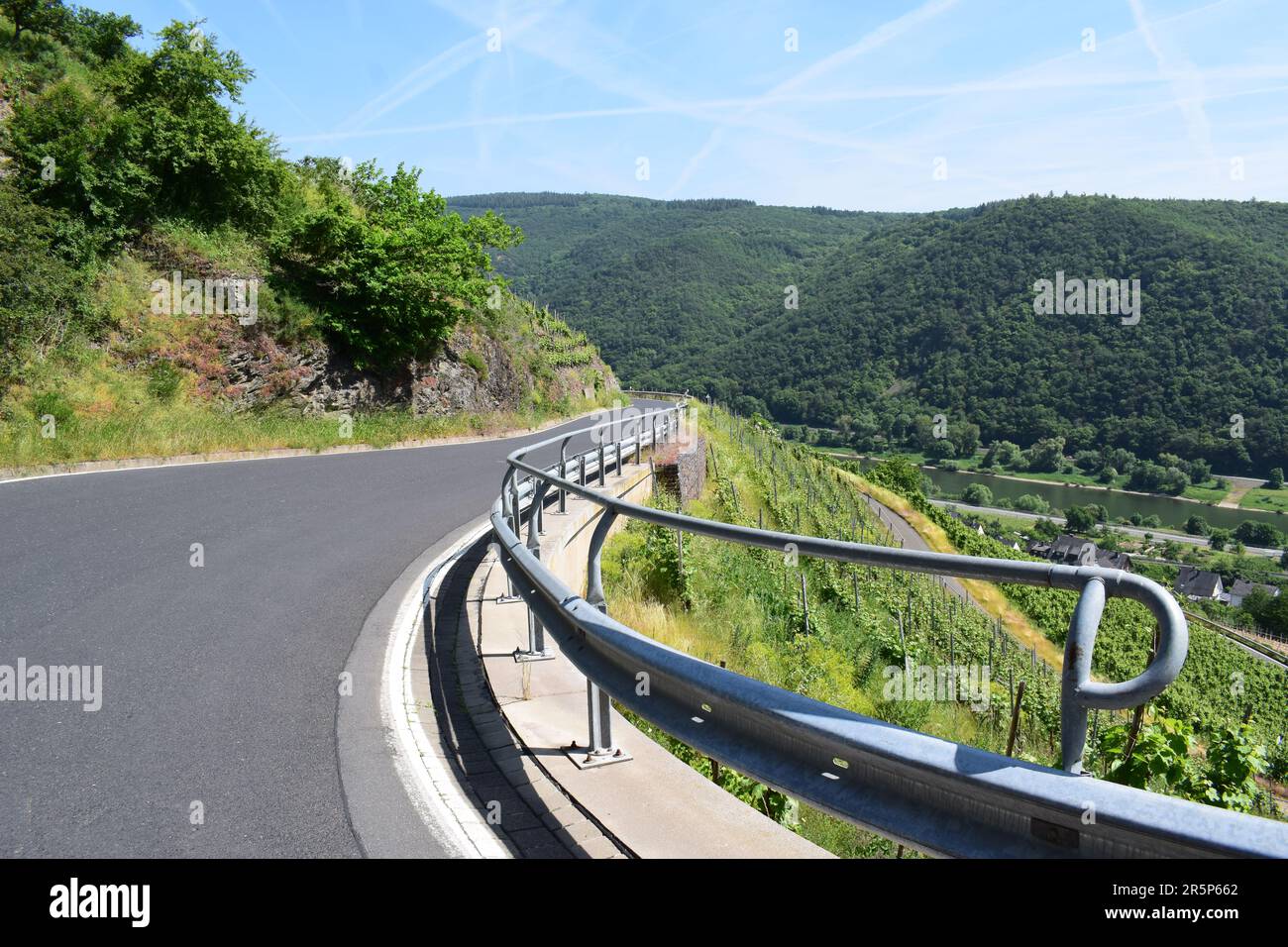 Strada tortuosa attraverso i ripidi vigneti Foto Stock
