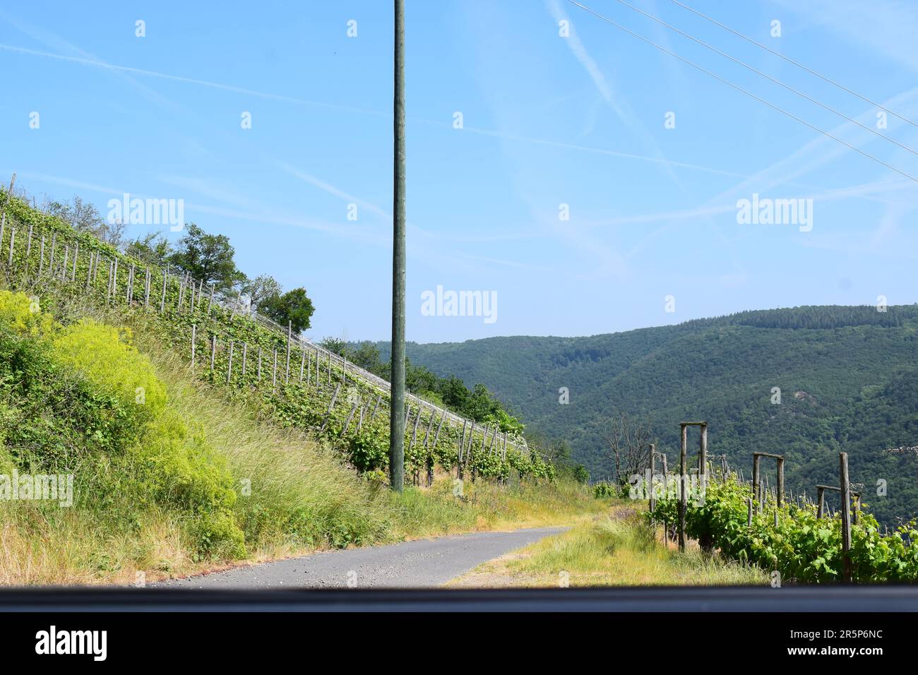 Strada tortuosa attraverso i ripidi vigneti Foto Stock