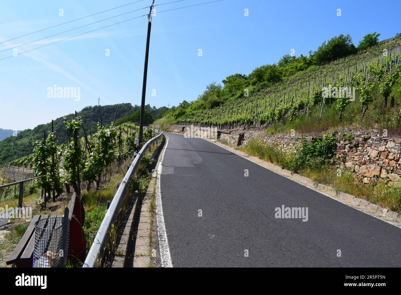 Strada tortuosa attraverso i ripidi vigneti Foto Stock