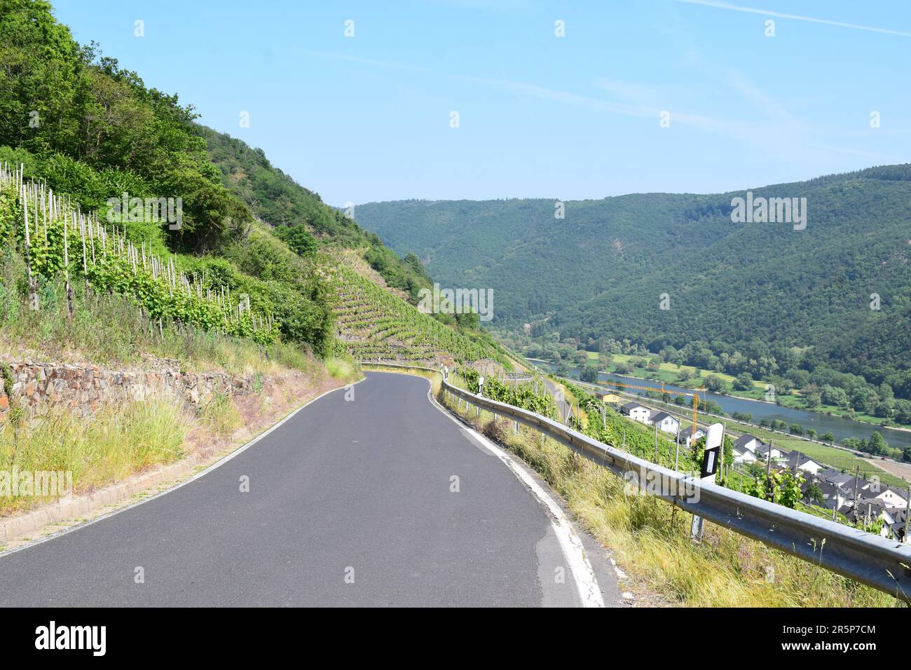 Strada tortuosa attraverso i ripidi vigneti Foto Stock