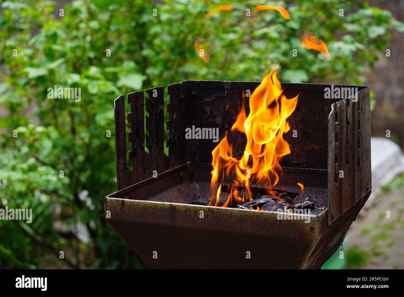 Barbecue grill fiamma fuoco, barbecue all'aperto per cucinare cibo in giardino. Grandi e alte fiamme grill su barbecue, sfondo verde pianta Foto Stock