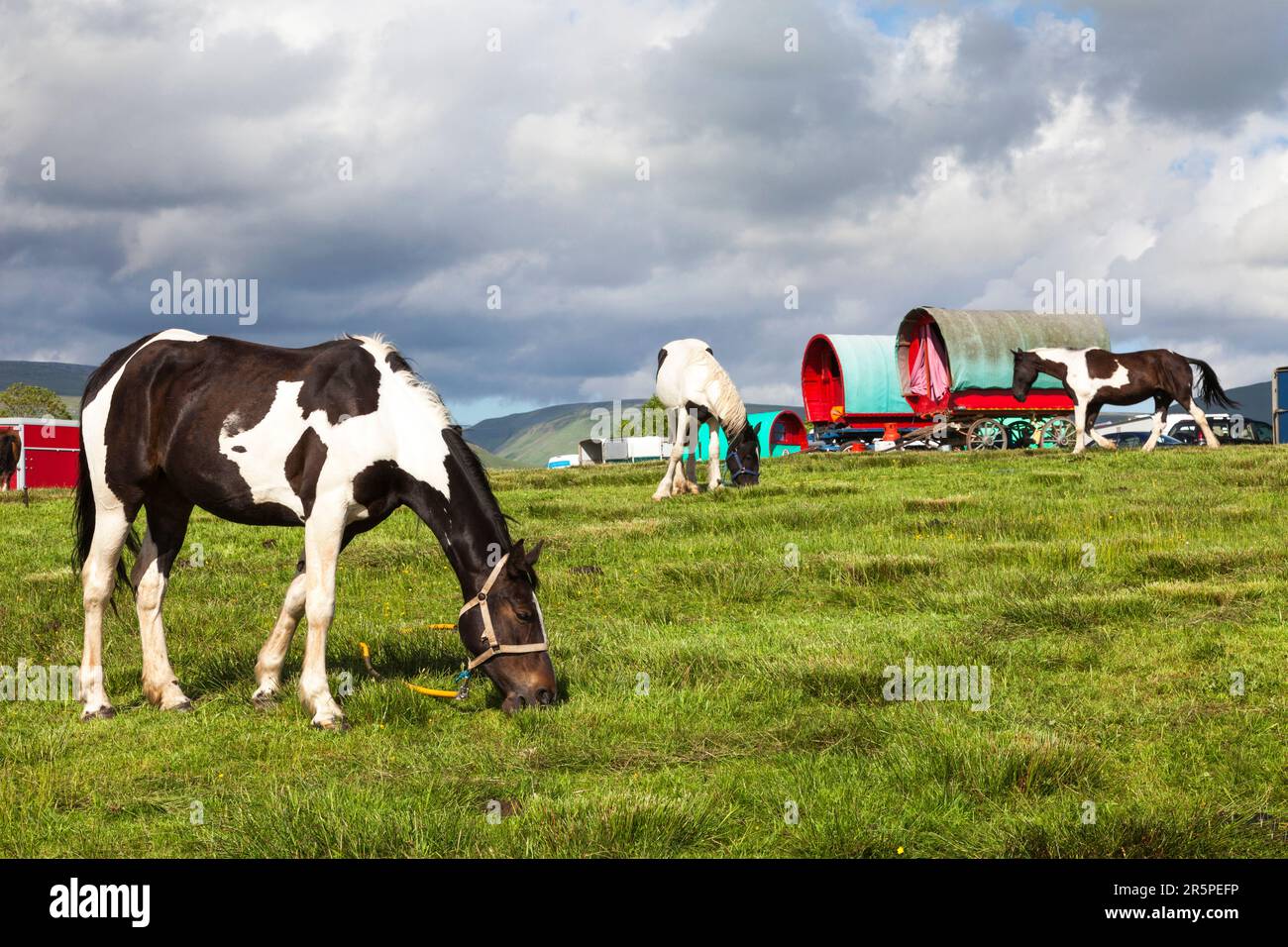 La storica Appleby Horse Fair, Appleby-in-Westmorland, Cumbria, Inghilterra, Regno Unito Foto Stock