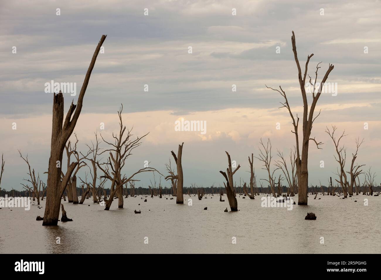 Lake Mulwala a Yarrawonga è stato creato quando il fiume Murray è stato arginato per fornire acqua di irrigazione per i terreni agricoli circostanti. Foto Stock