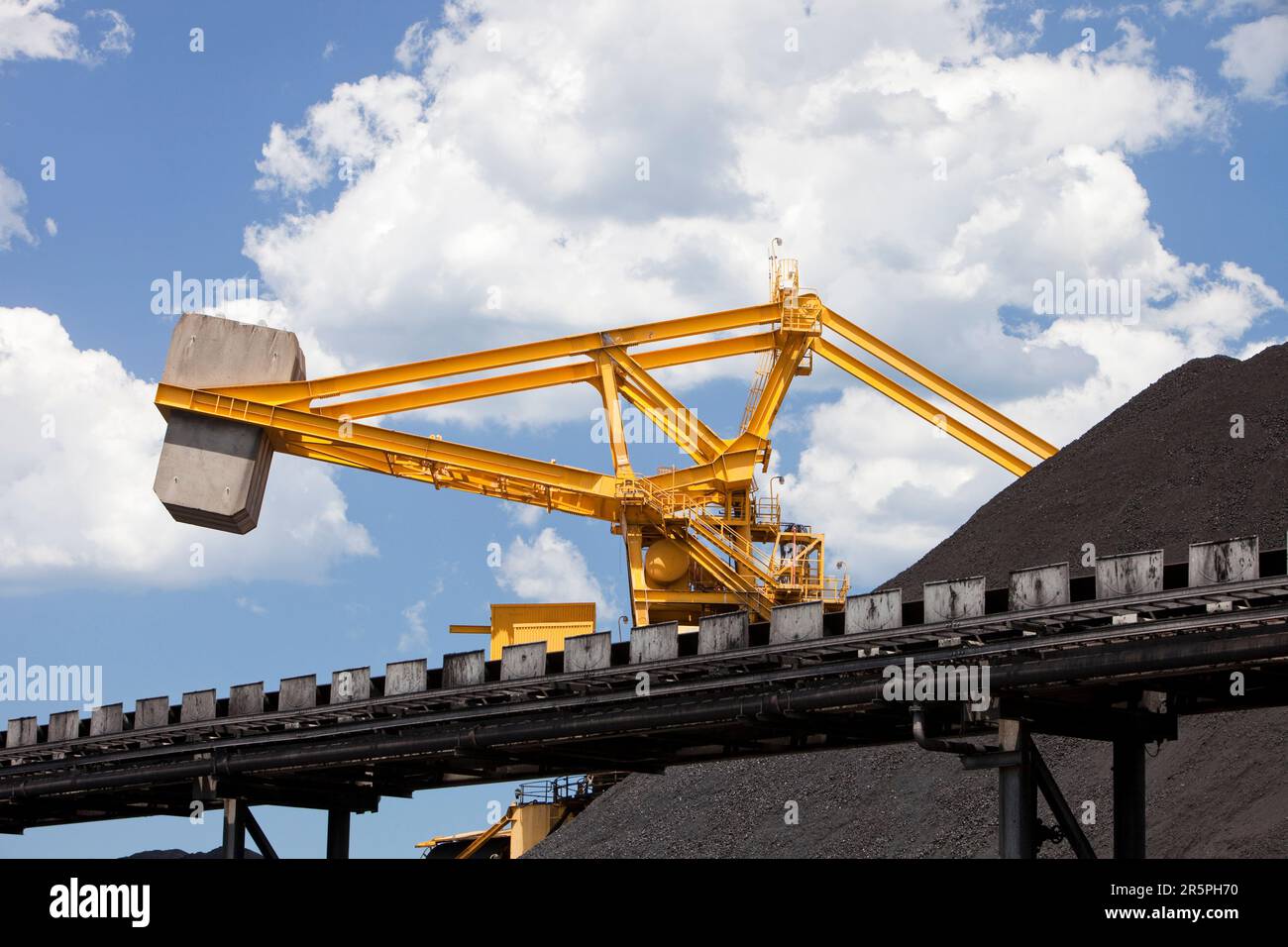 Macchine per la movimentazione del carbone a Port Waratah a Newcastle, il più grande porto di carbone del mondo. Il carbone proveniente dalle miniere di carbone a cielo aperto della Hunter Valley viene esportato in tutto il mondo da qui Foto Stock