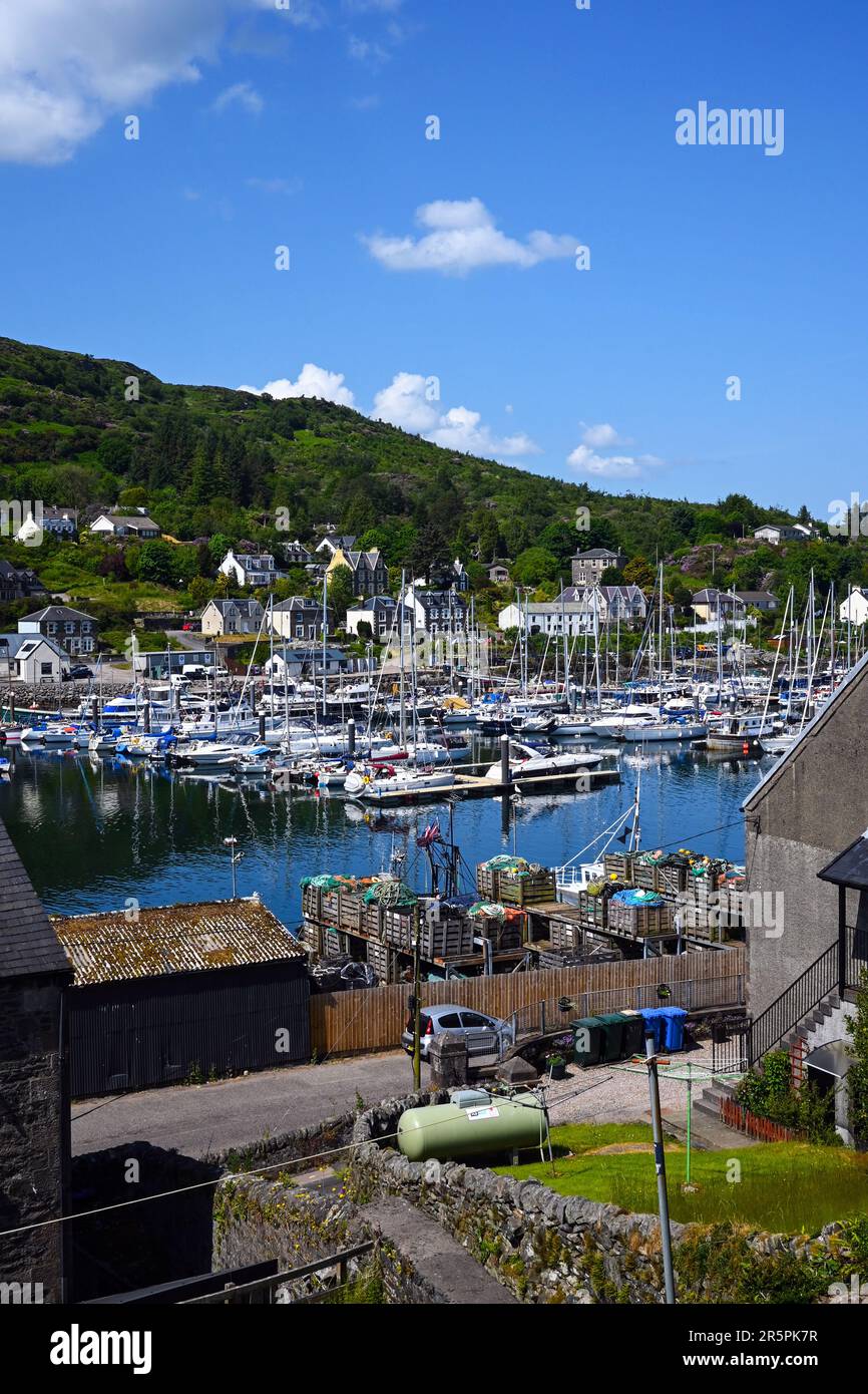 Una vista delle navi ormeggiate a Tarbert Harbour, Loch Fyne, Argyll, Scozia. Foto Stock
