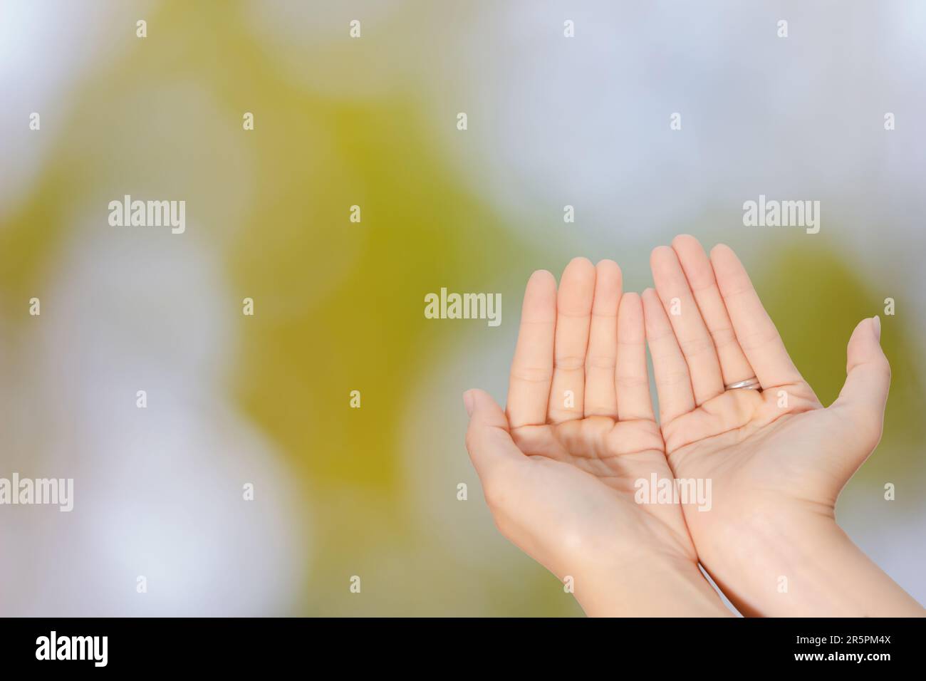Primo piano della donna apre due mani vuote con palme in su per pregare Dio e la benedizione su sfondo verde sfocato Foto Stock