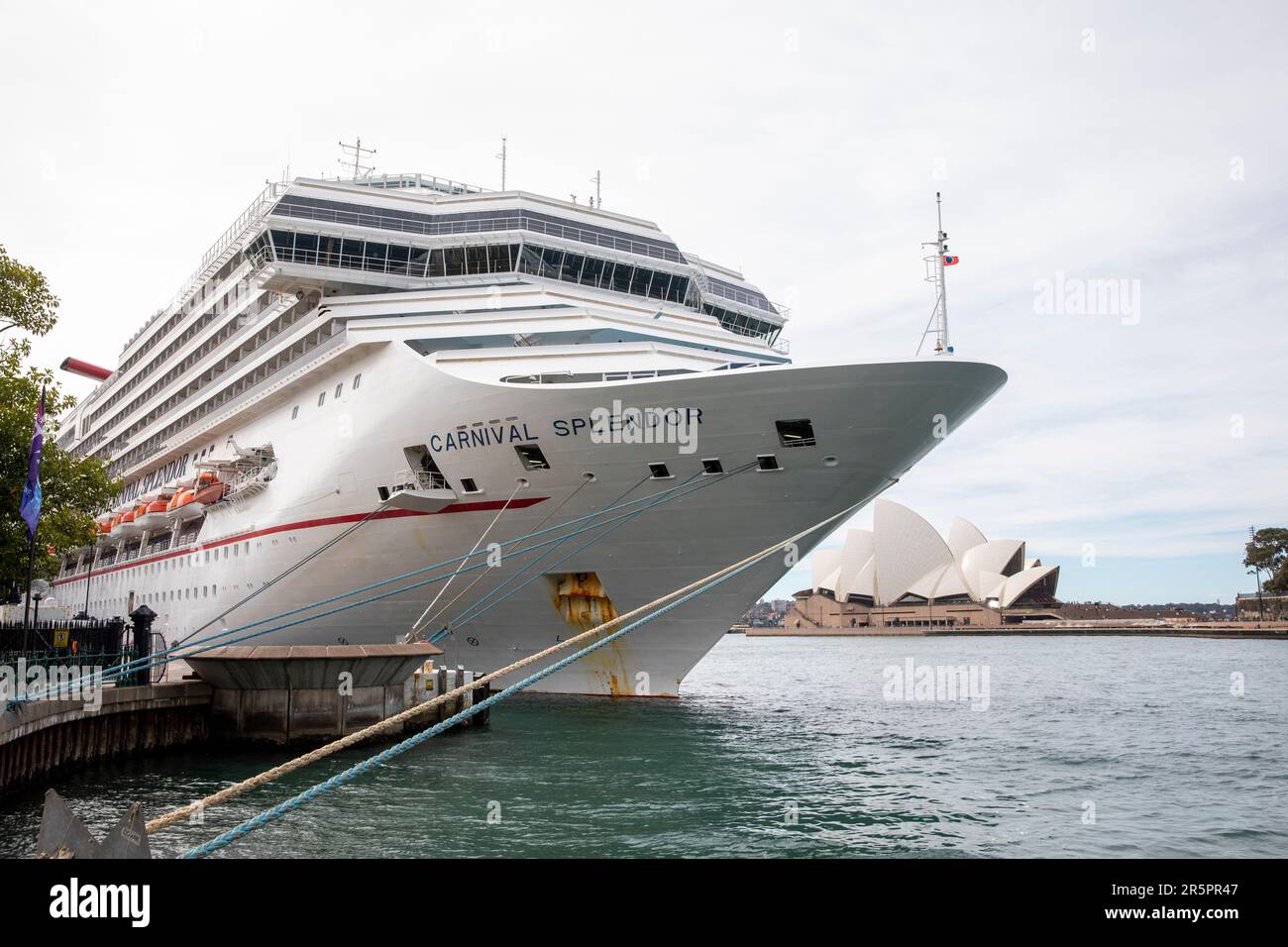 Nave da crociera Carnival Splendor ormeggiata al terminal passeggeri Overseas, Circular Quay, Sydney, NSW, Australia Foto Stock