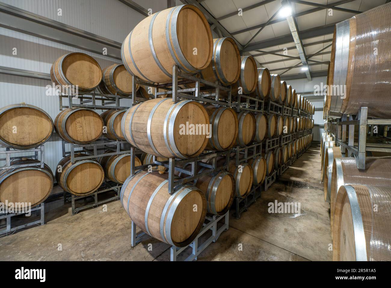 Botti di rovere per l'affinamento del vino presso la Cantina la Azul vicino a Tupungato, Mendoza, Argentina. Foto Stock