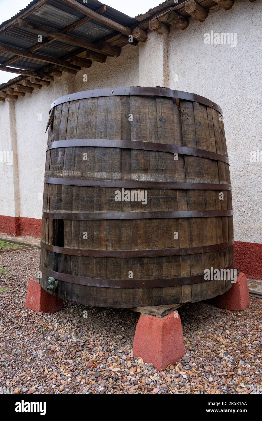 Botti di rovere da 10.000 litri importate dalla Francia negli anni '1880s presso l'azienda vinicola la Abeja, San Rafael, Mendoza, Argentina. La Abeja è la più antica cantina di SA Foto Stock