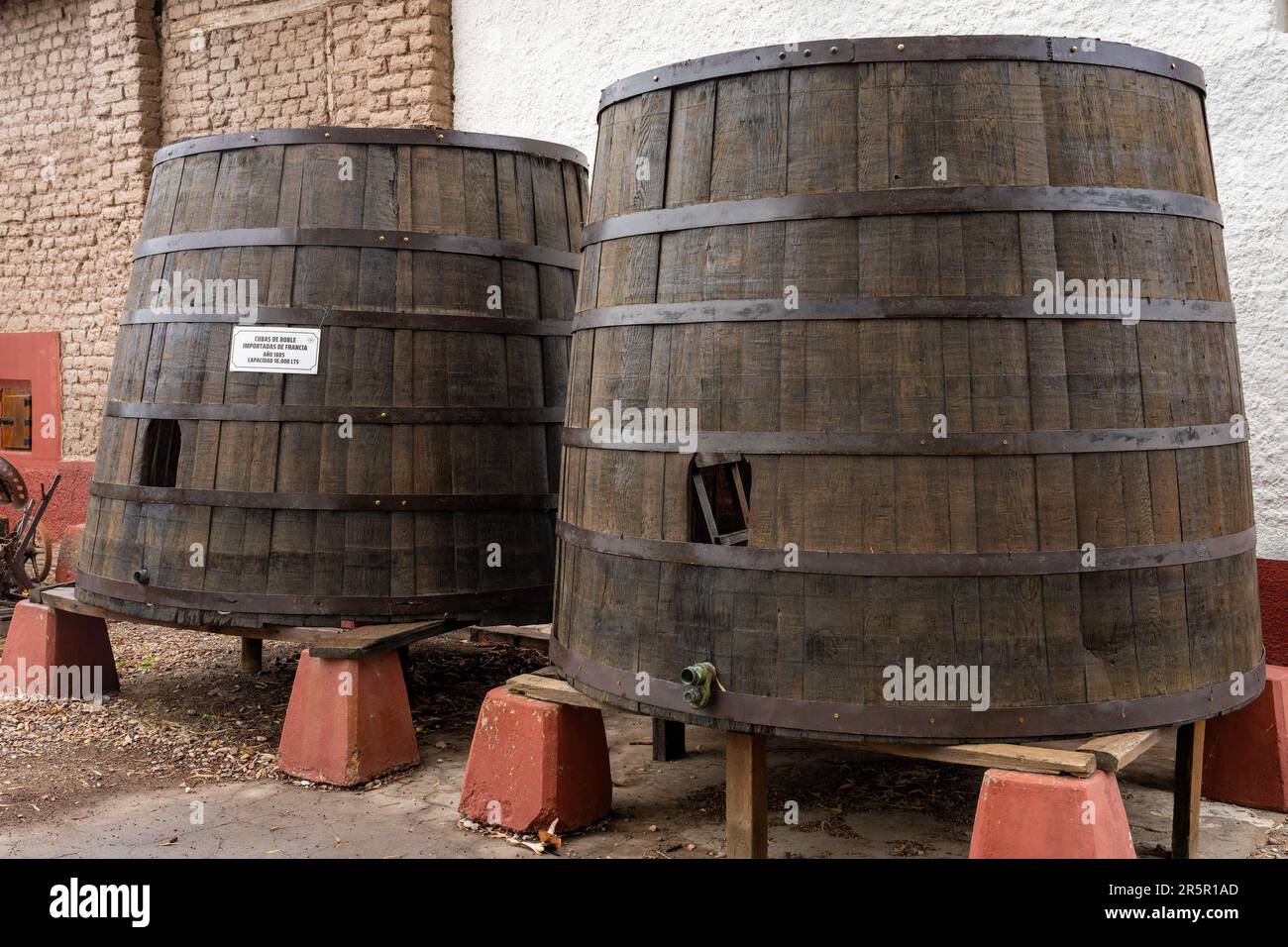 Botti di rovere da 10.000 litri importate dalla Francia negli anni '1880s presso l'azienda vinicola la Abeja, San Rafael, Mendoza, Argentina. La Abeja è la più antica cantina di SA Foto Stock