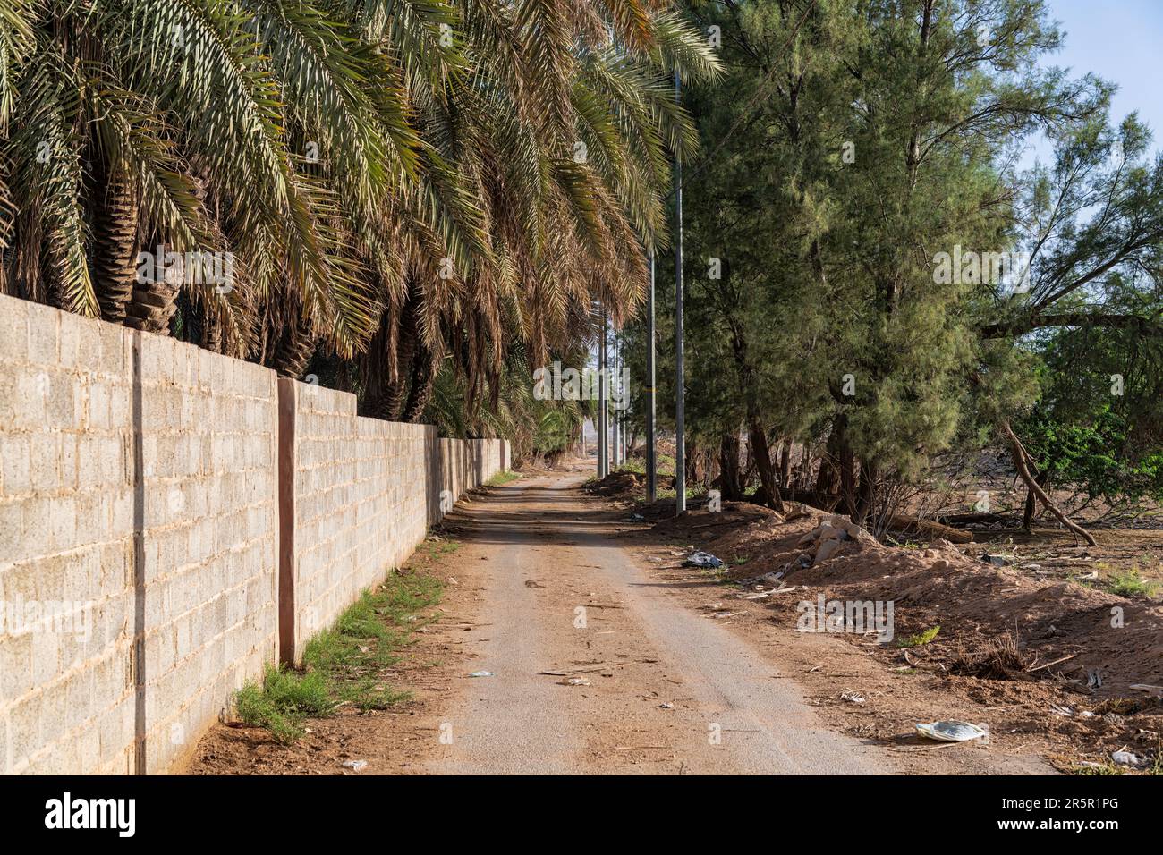 Città vecchia di Muzahmiyah - strada sterrata - luce mattutina Foto Stock