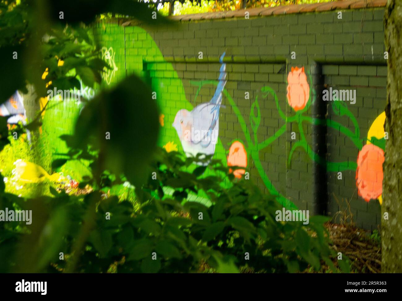 Abbracciando l'essenza della serenità floreale di Glasgow Foto Stock