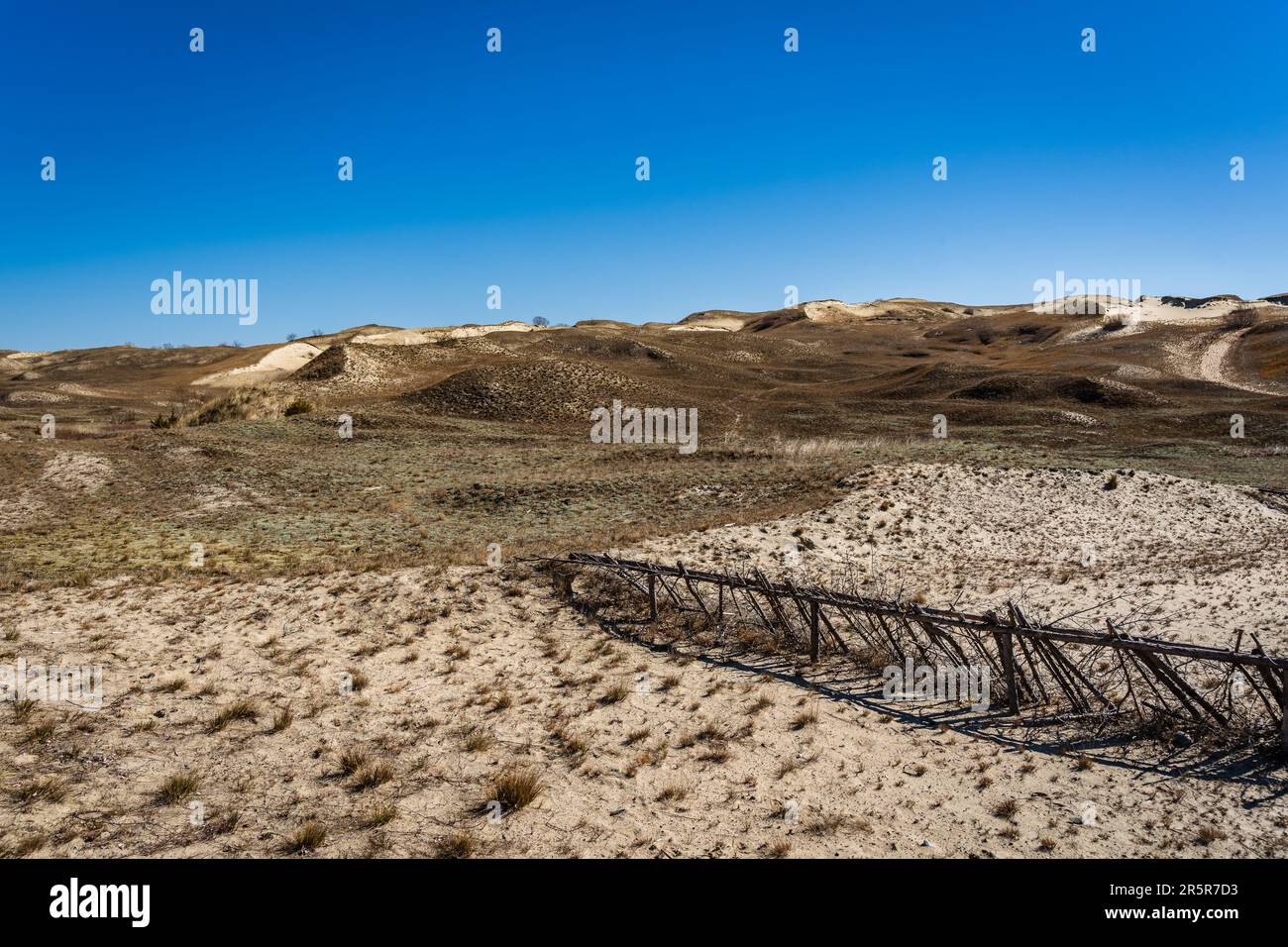 Le Gray Dunes, o Dead Dunes, sono colline sabbiose con un po' di macchie verdi sul lato lituano dello Spit Curoniano Foto Stock