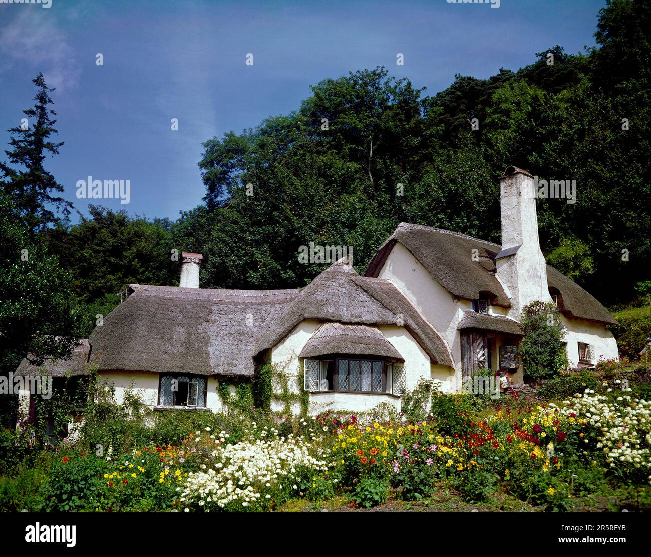 Inghilterra. Somerset. Verde Selworthy. Cottage con tetto in paglia. Foto Stock